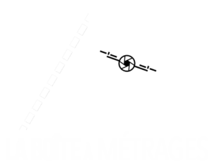 La Boîte à Métrages, Vidéaste et Télé-pilote de drones